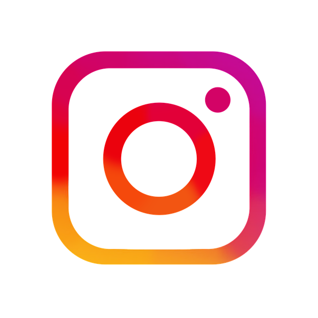 instagram-logo-5744708_640